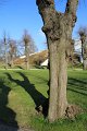 Fruehling   083